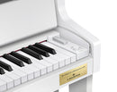 Casio Celviano Grand Hybrid GP-310 Piano