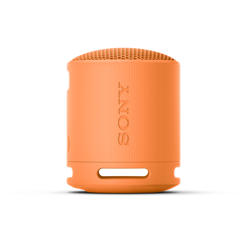 Sony SRS-XB100 Portable Wireless Speaker