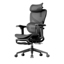 OTO Zenpex Ergonomic Chair