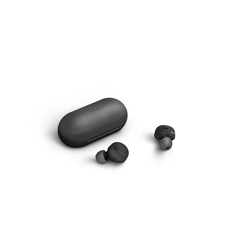 SONY WF-C500 Truly Wireless In-ear Headphones
